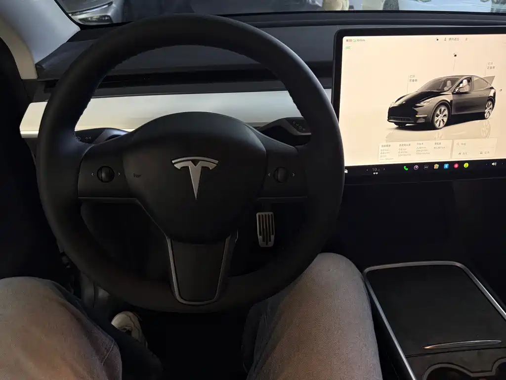 Tesla Model Y — миниатюра 5