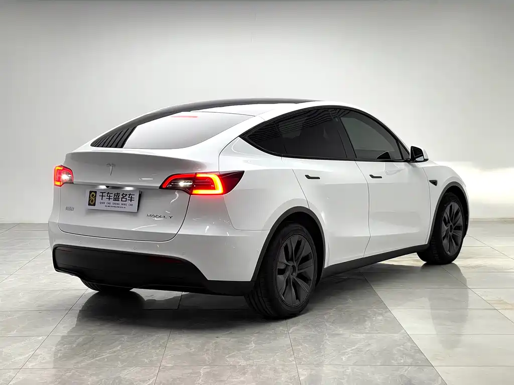 Tesla Model Y — миниатюра 6