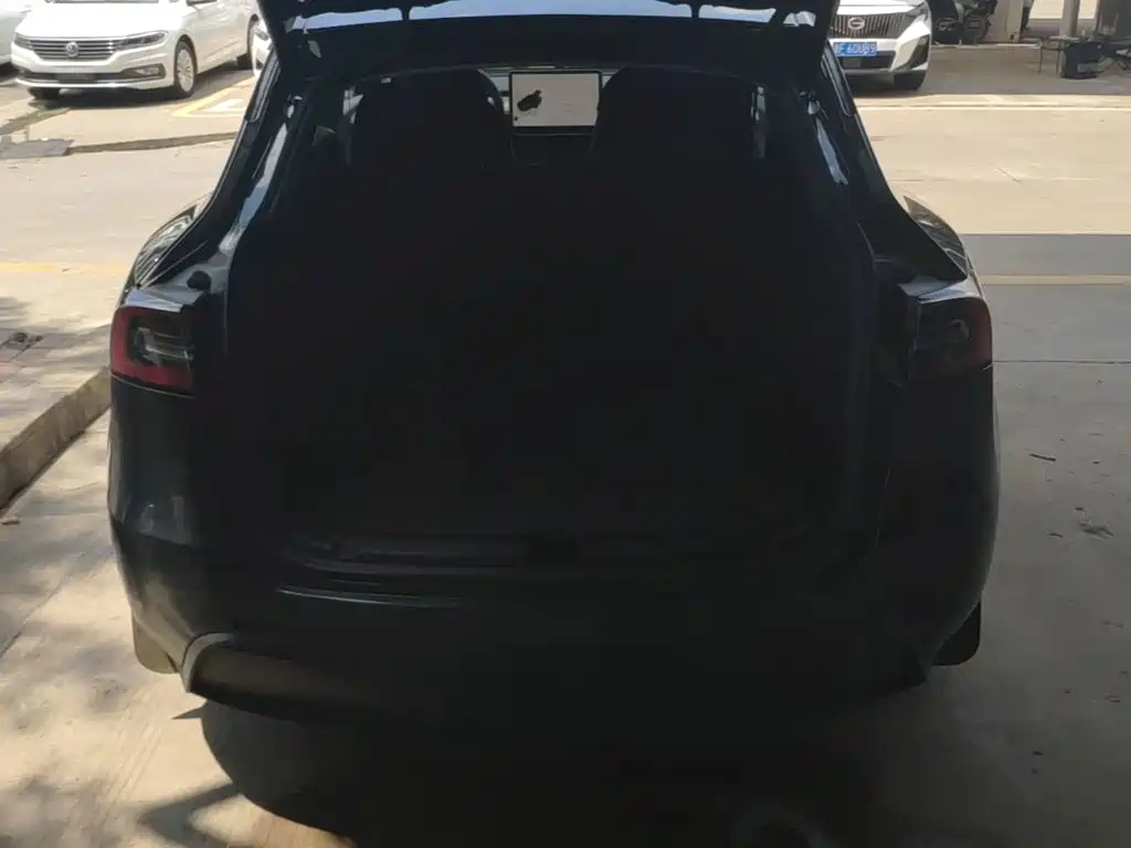 Tesla Model Y — миниатюра 19