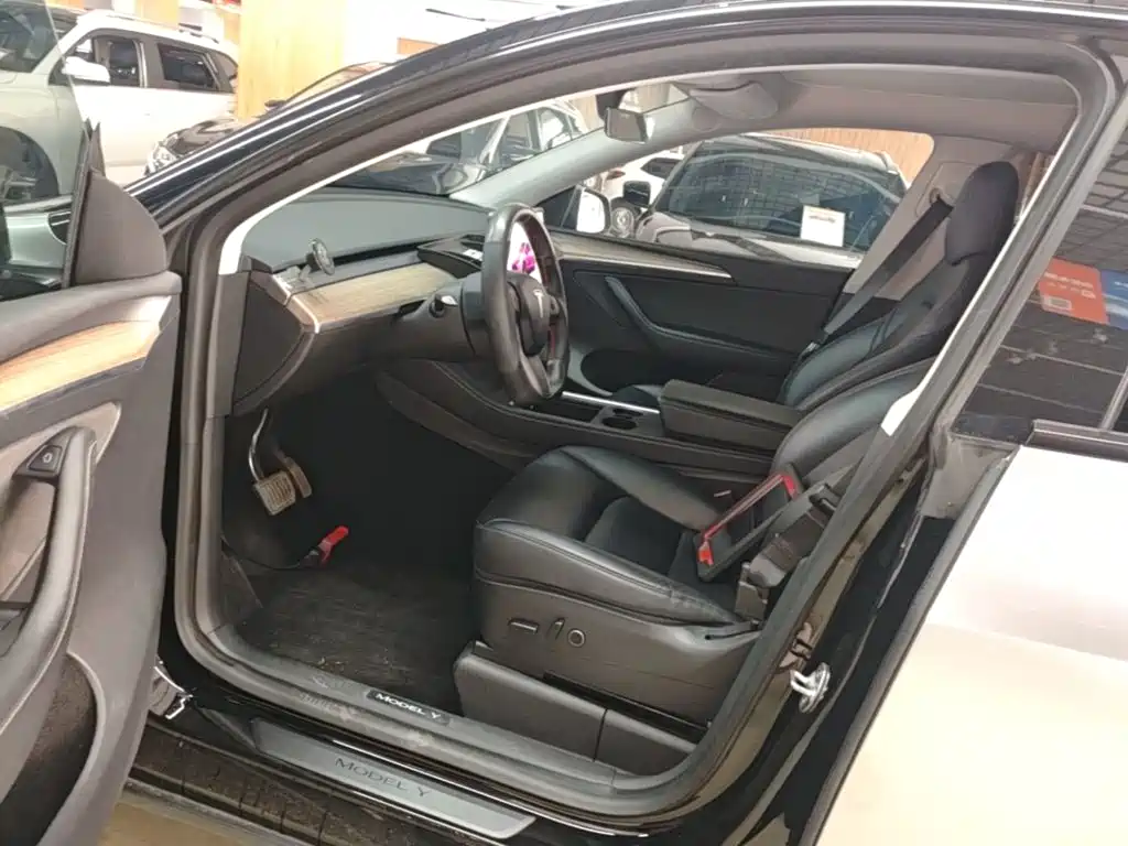 Tesla Model Y — миниатюра 16