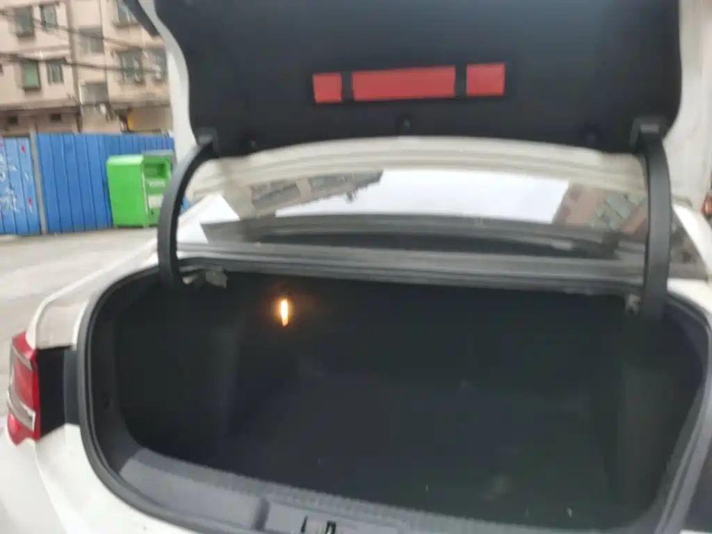 DS DS 5LS — миниатюра 15