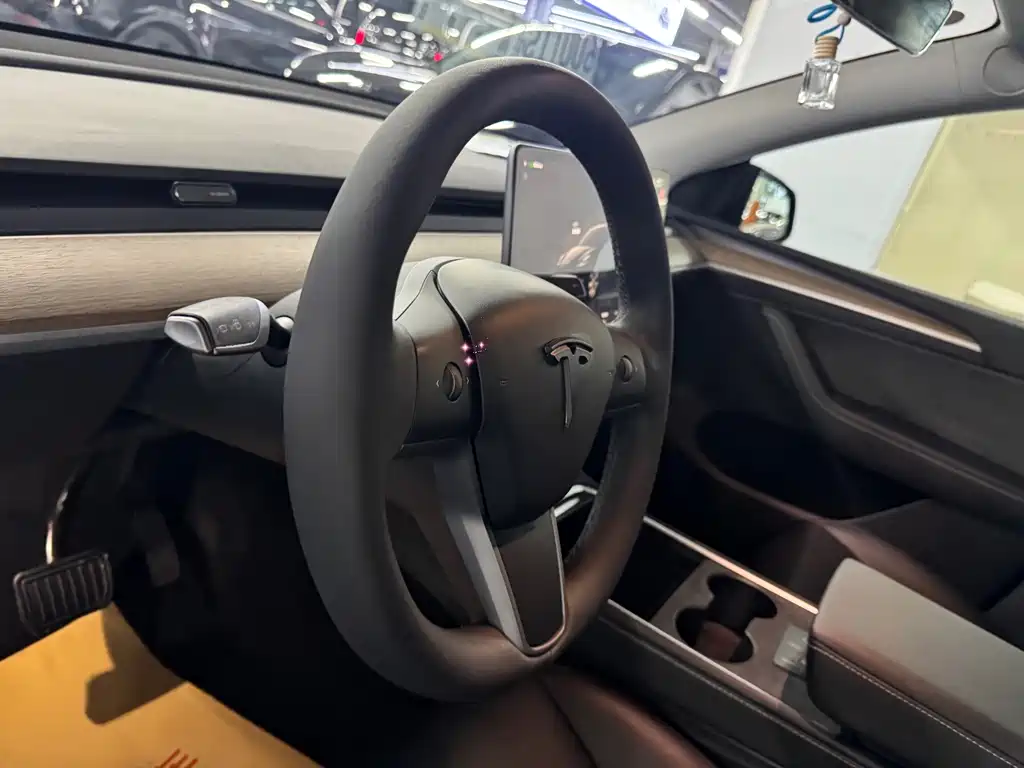 Tesla Model Y — миниатюра 7