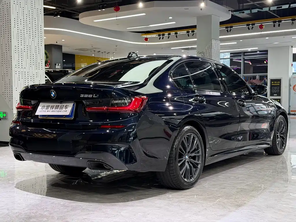 BMW 3 Series — миниатюра 17