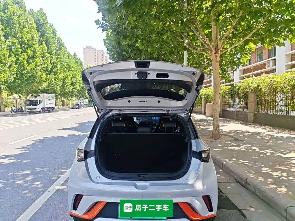 BYD Dolphin — миниатюра 19