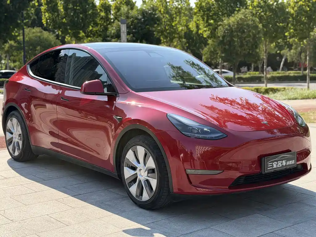 Tesla Model Y — миниатюра 3