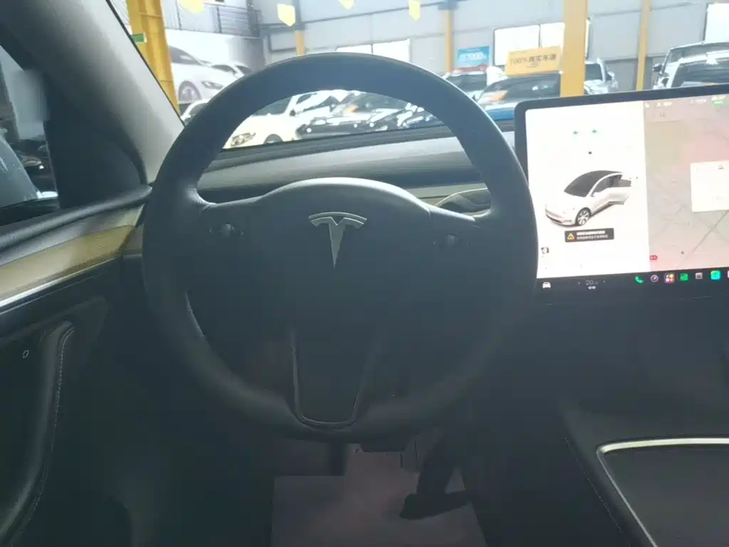 Tesla Model Y — миниатюра 11