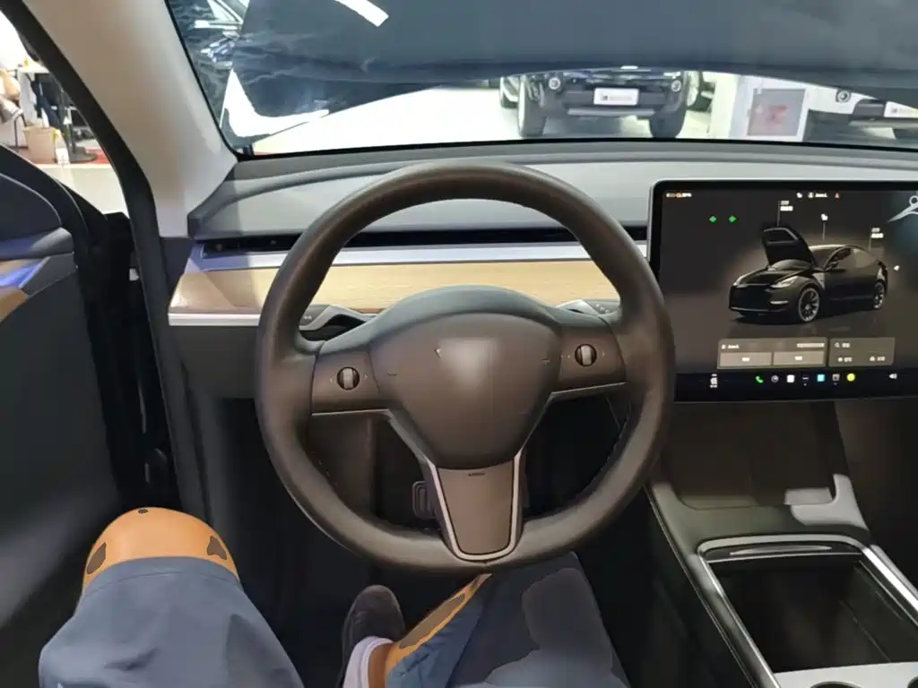 Tesla Model Y — миниатюра 11