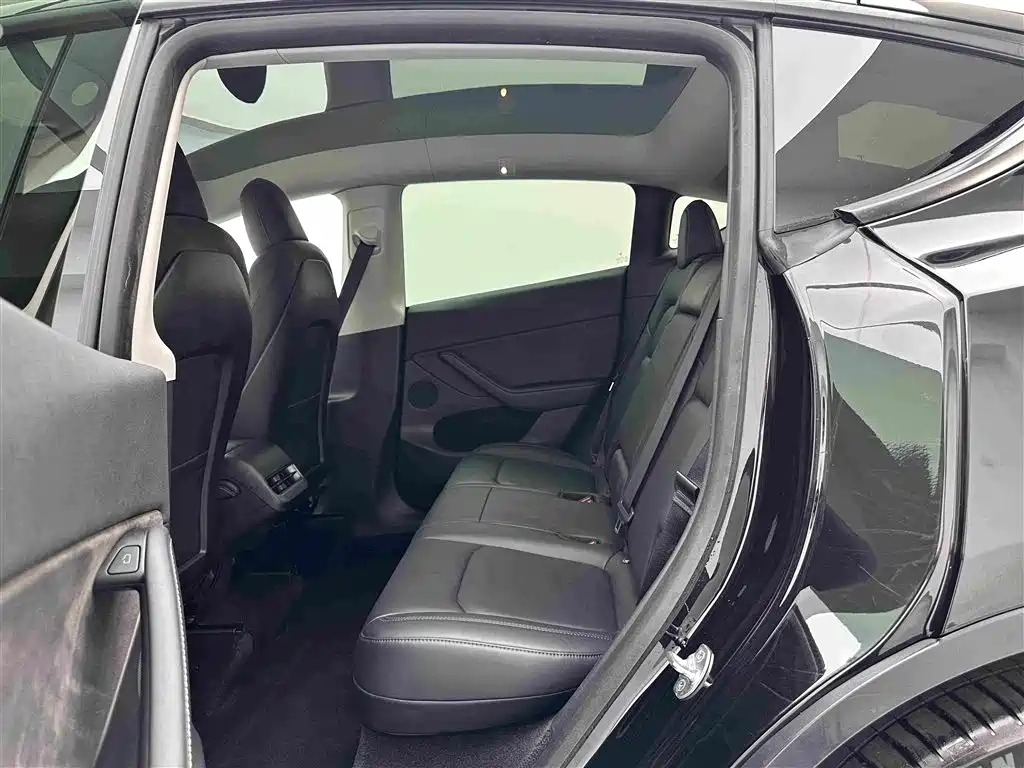 Tesla Model Y — миниатюра 20
