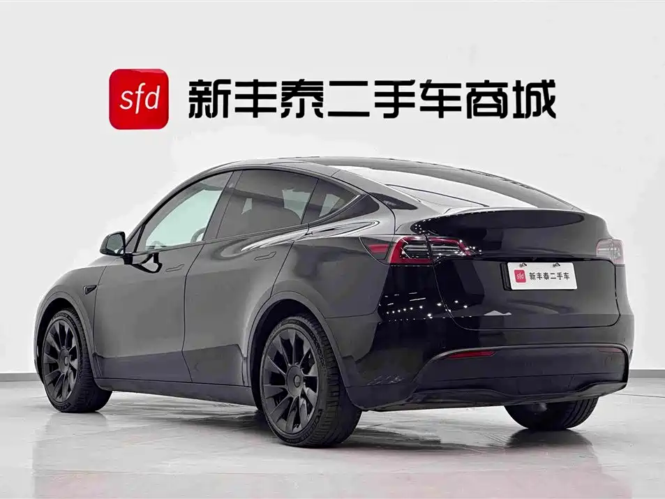 Tesla Model Y — миниатюра 6