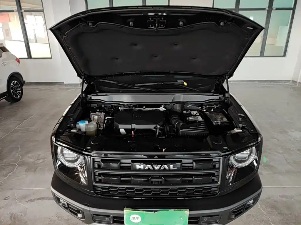 Haval Big Dog — миниатюра 20