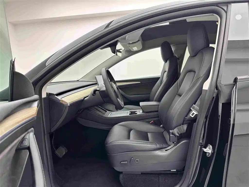 Tesla Model Y — миниатюра 19