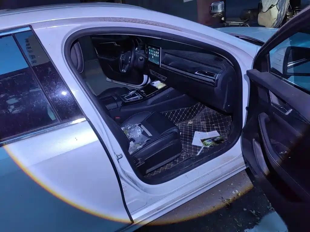 BYD Qin Pro NEV — миниатюра 20