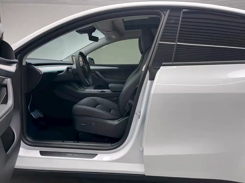 Tesla Model Y — миниатюра 16