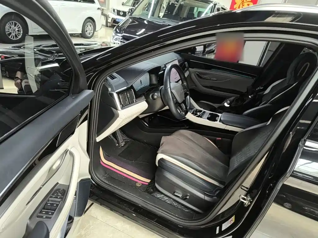 BYD PLUS New Energy — миниатюра 16