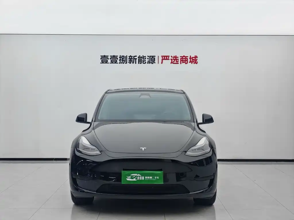 Tesla Model Y — миниатюра 2