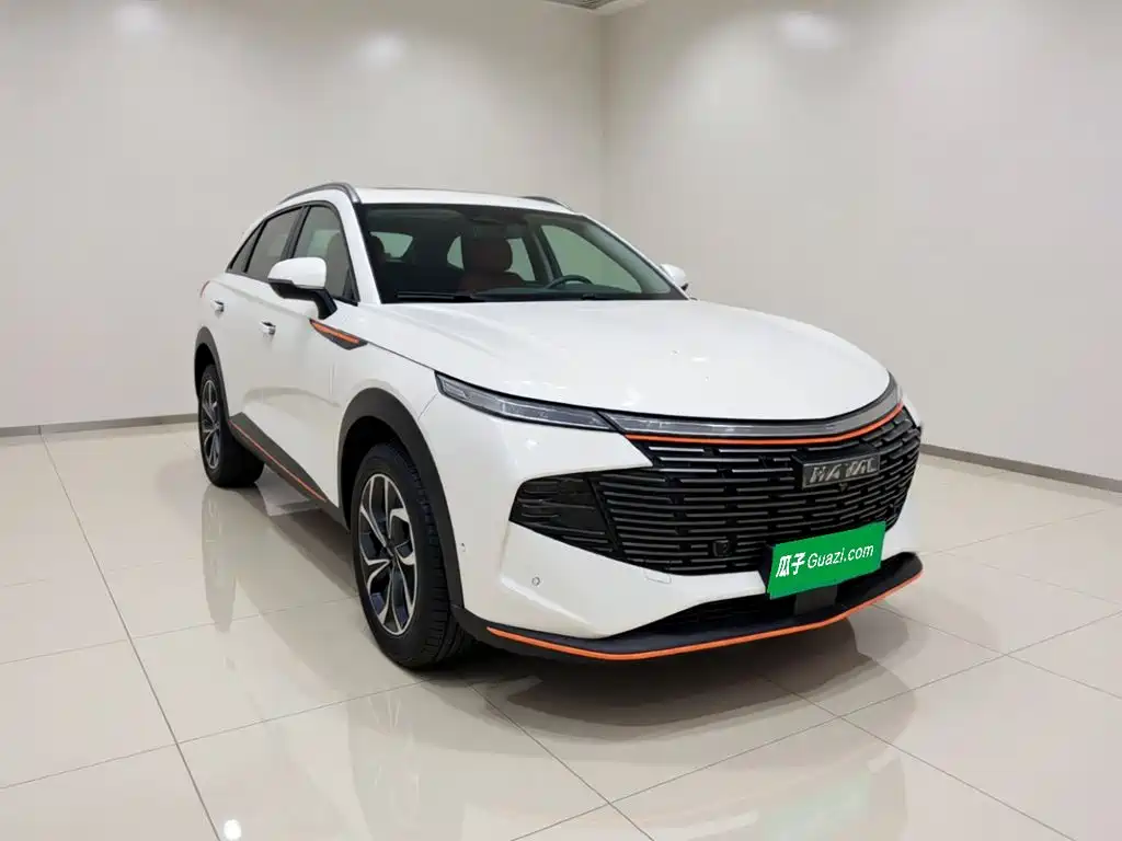 Haval Shenshou — миниатюра 3