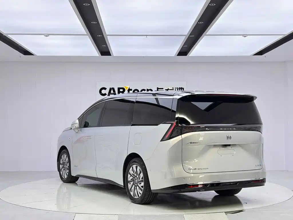 Buick Electra Encasa — миниатюра 3