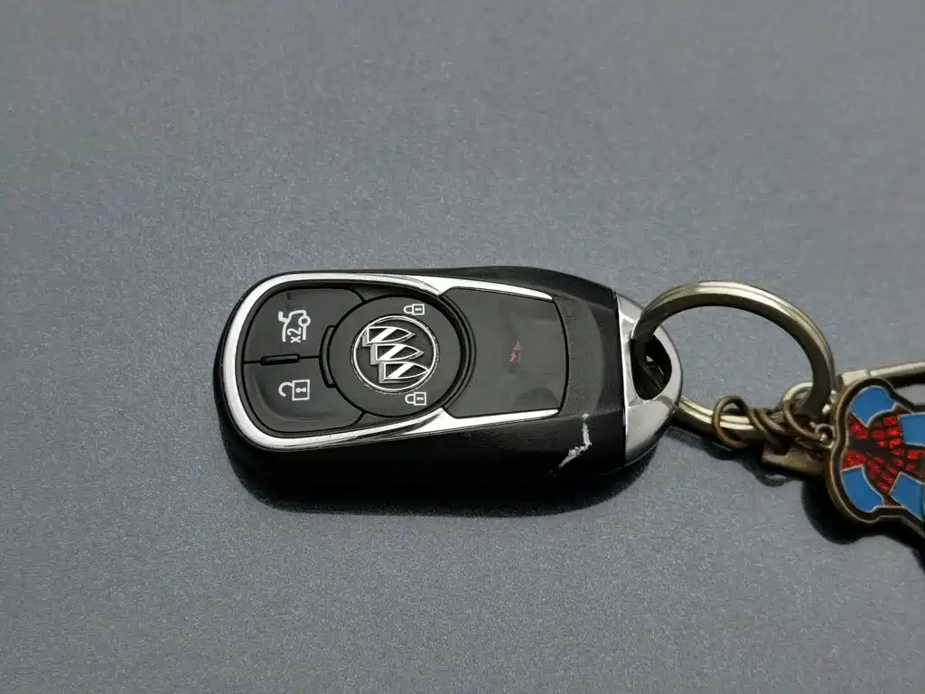 Buick Regal — миниатюра 19