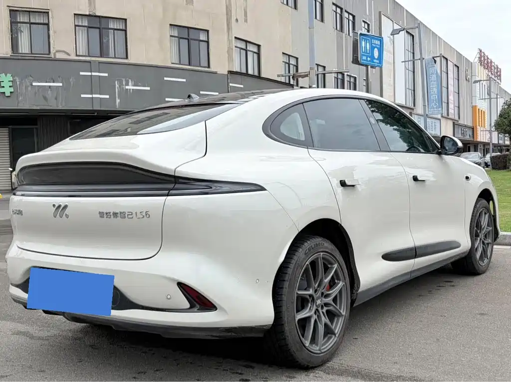 IM IM LS6 — миниатюра 4