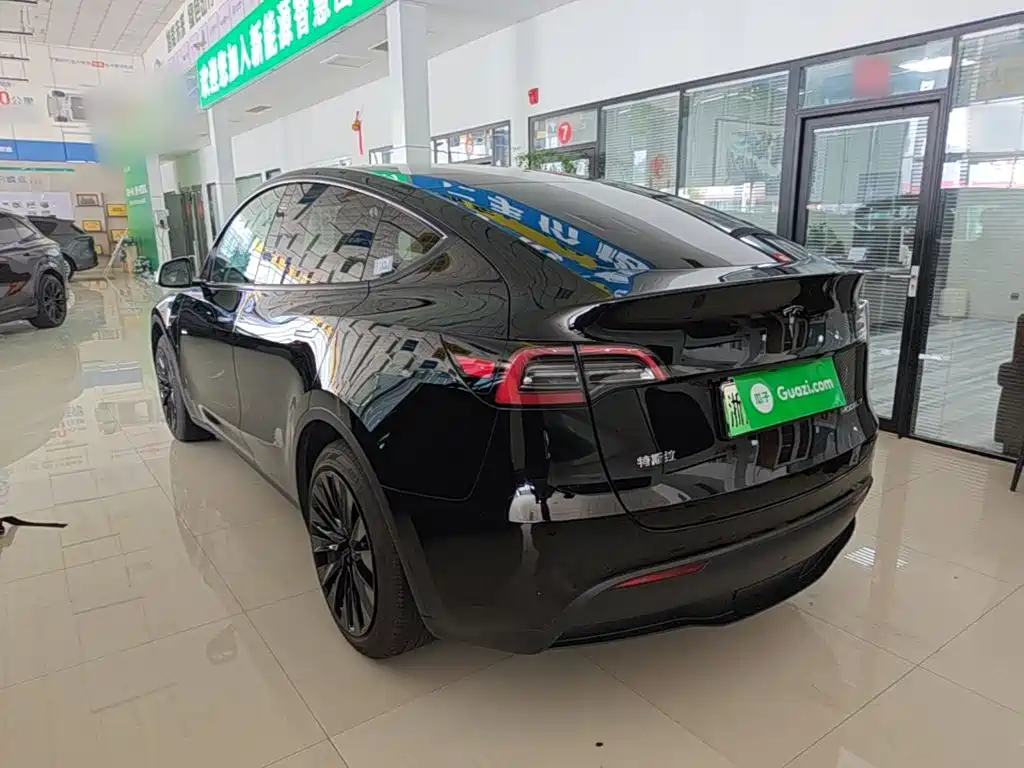 Tesla Model Y — миниатюра 5