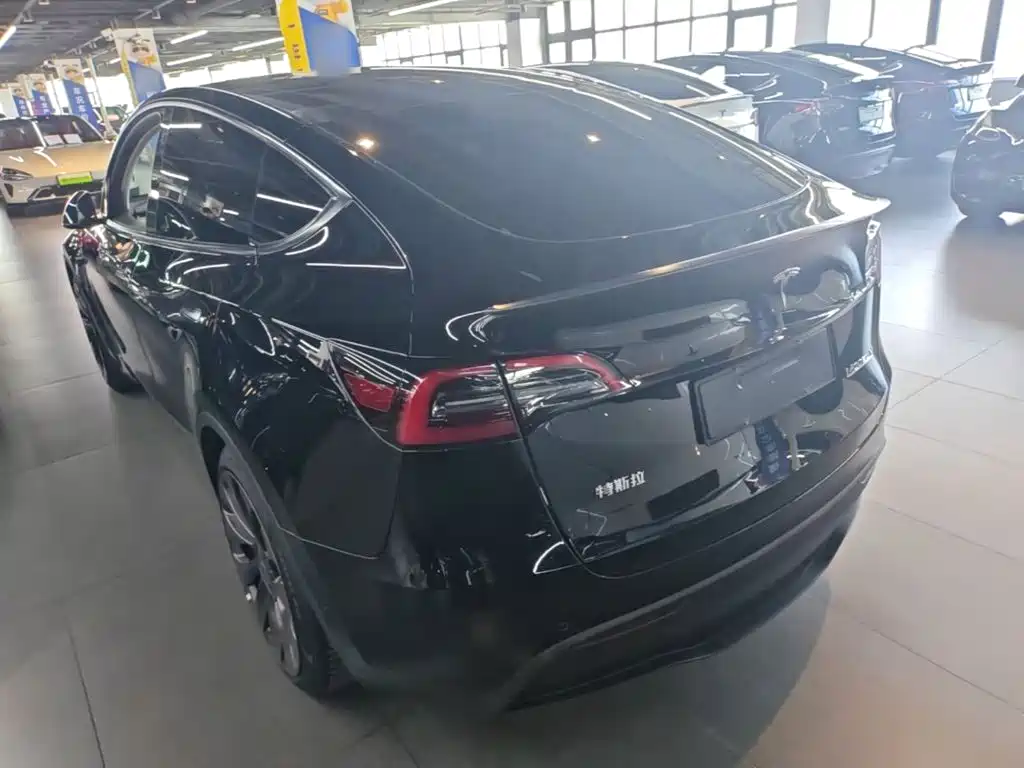 Tesla Model Y — миниатюра 5