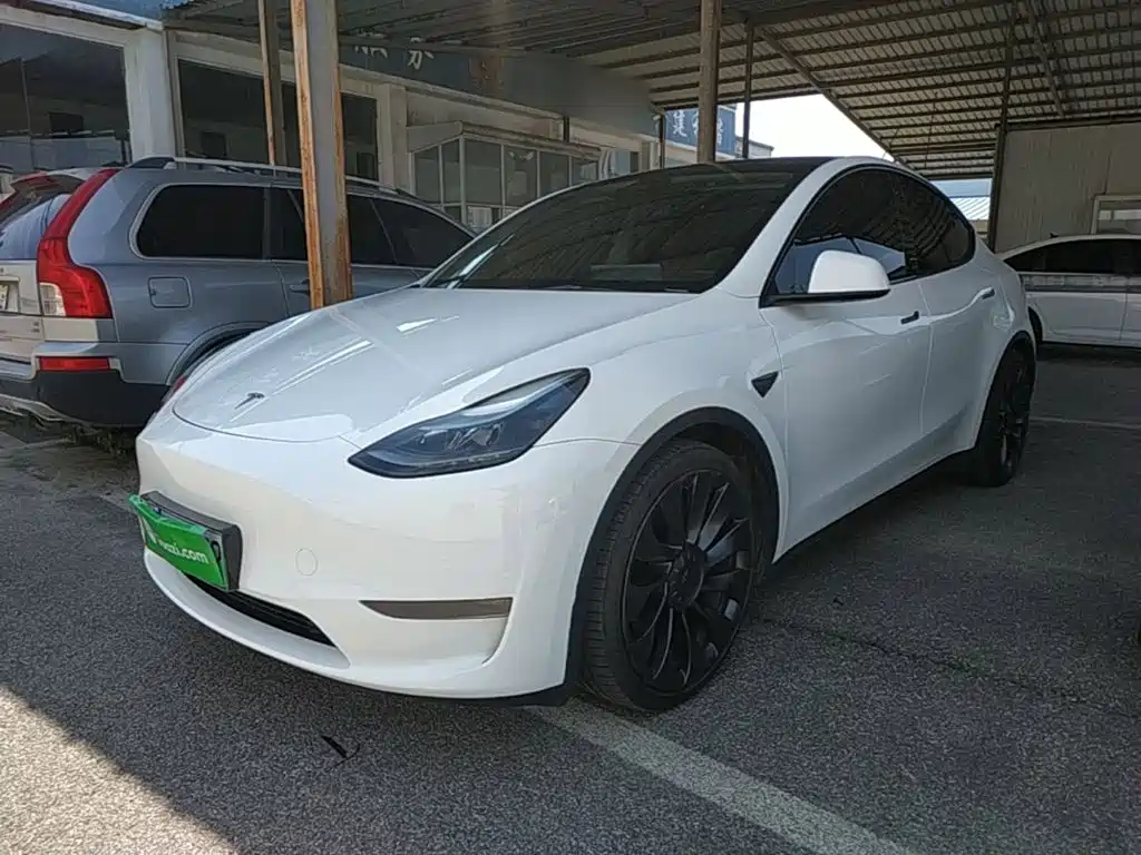 Tesla Model Y — миниатюра 2