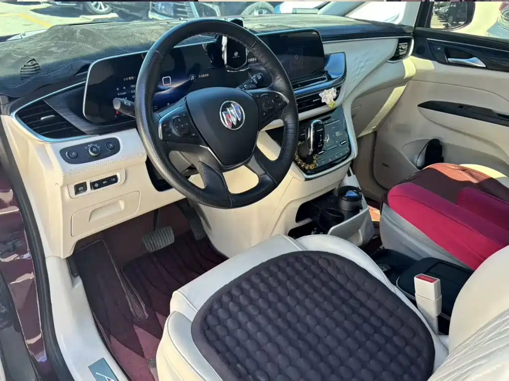 Buick GL8 — миниатюра 10