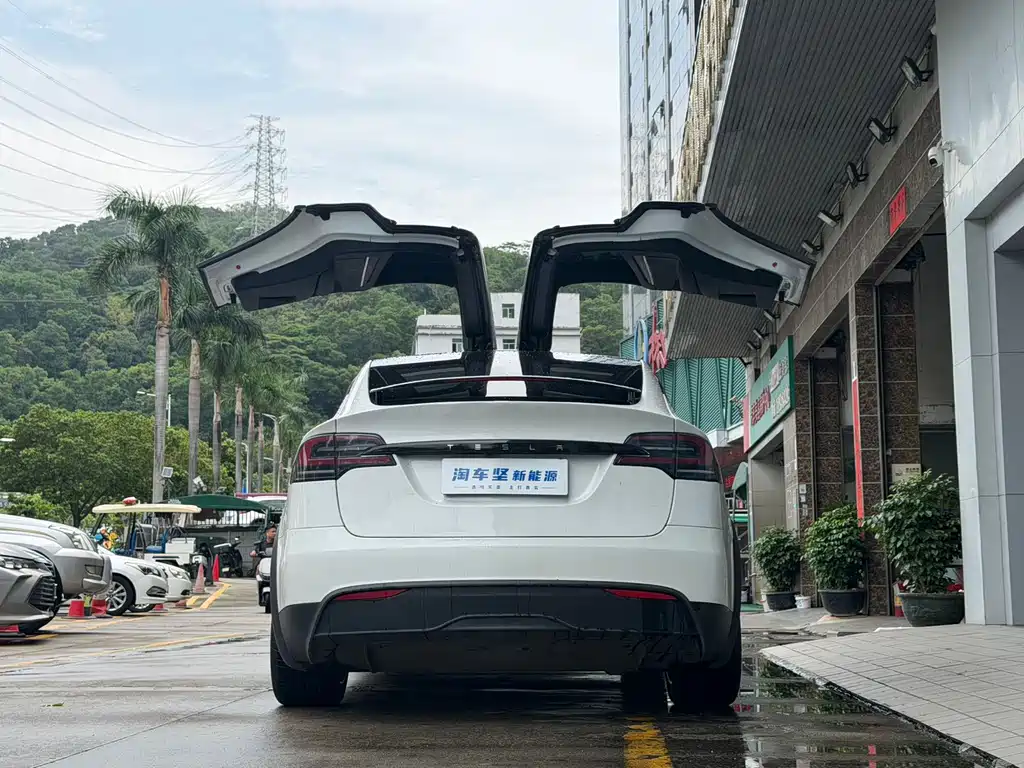 Tesla Model X — миниатюра 5