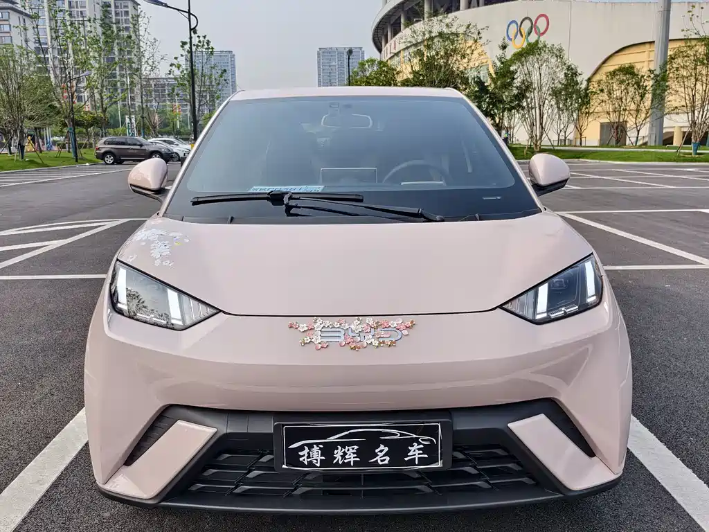 BYD Seagull 2025 Smart Drive 405km Flying