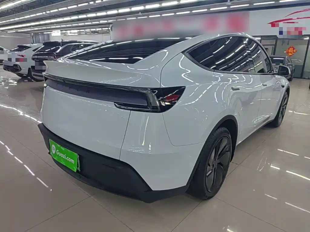 Tesla Model Y — миниатюра 7