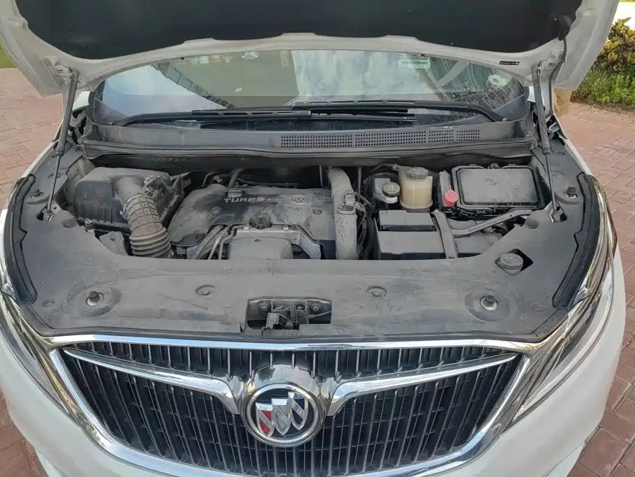 Buick GL8 — миниатюра 10