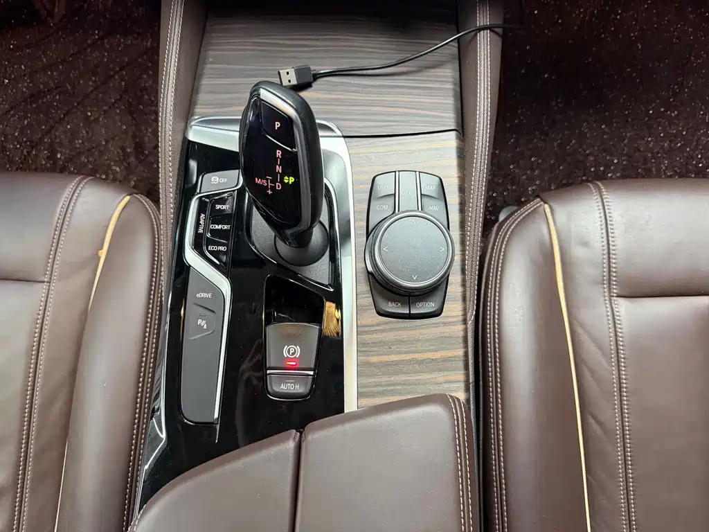 BMW 5 Series New Energy 530Le Luxury Package, фото 9