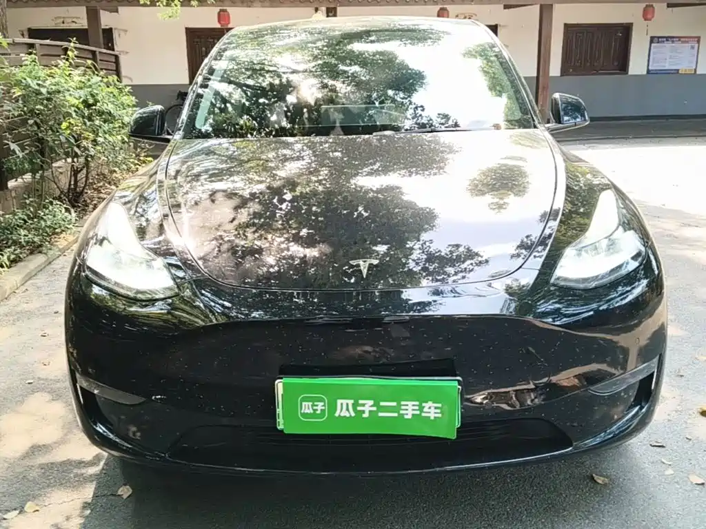 Tesla Model Y — миниатюра 3