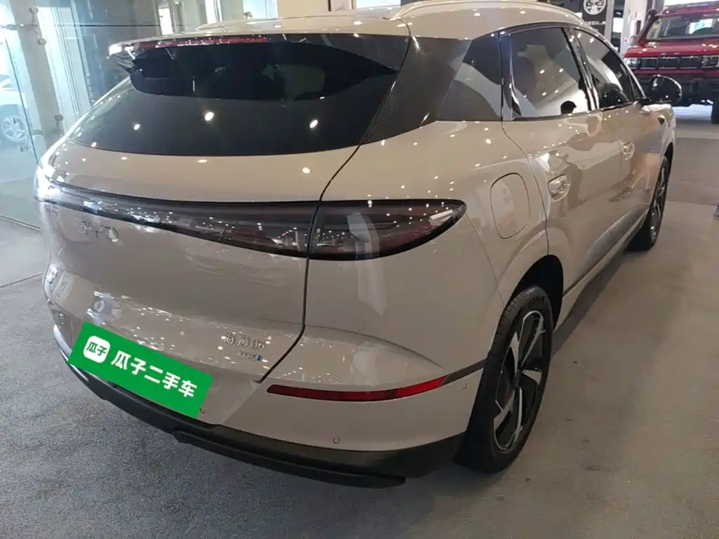 BYD Haisi 06 — миниатюра 7