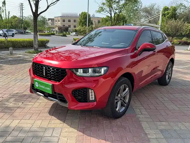 WEI PAI WEI BRAND VV5 2019