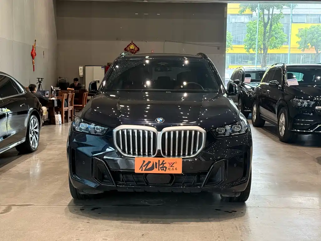 BMW X5 — миниатюра 2