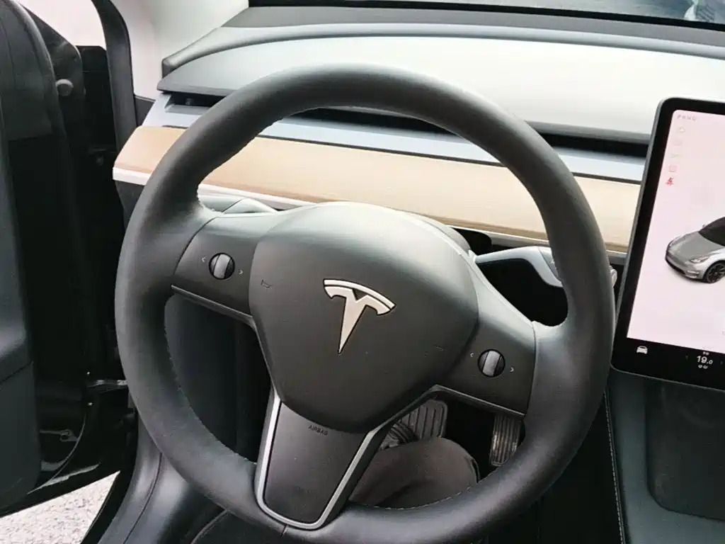Tesla Model Y — миниатюра 11
