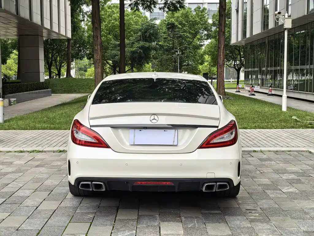 Mercedes-Benz CLS AMG AMG CLS 63 4MATIC, фото 49