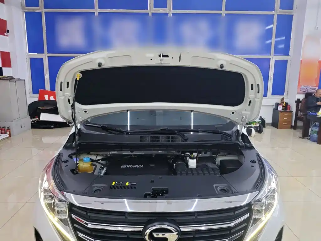 GAC Motor Trumpchi M8 — миниатюра 16