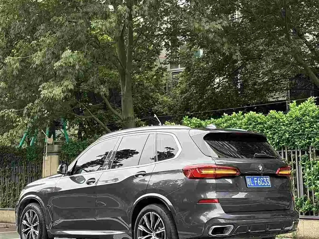 BMW X5 (Import) — миниатюра 3