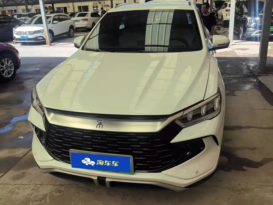 BYD Pro New Energy — миниатюра 2