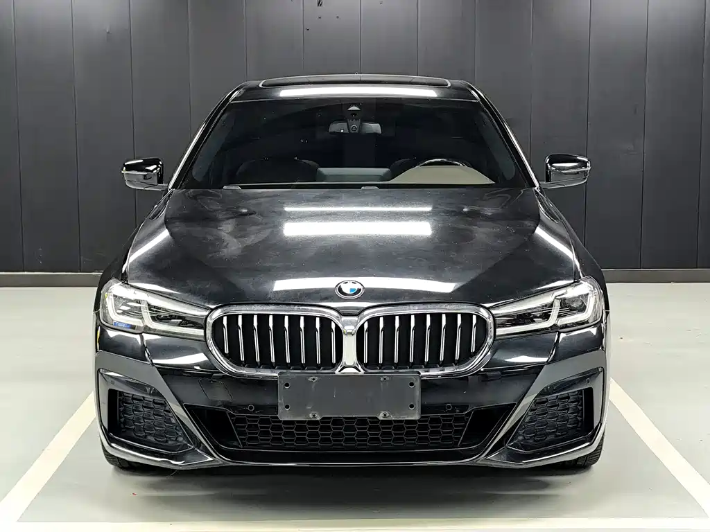 BMW 5 Series — миниатюра 2