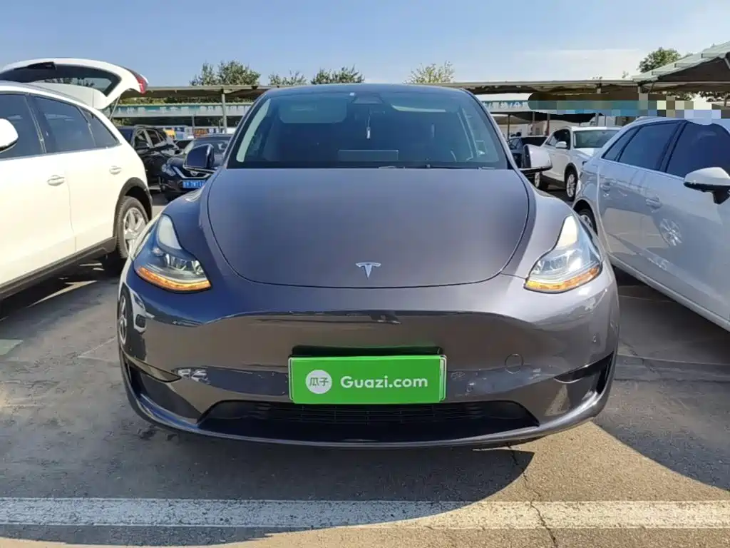 Tesla Model Y — миниатюра 3