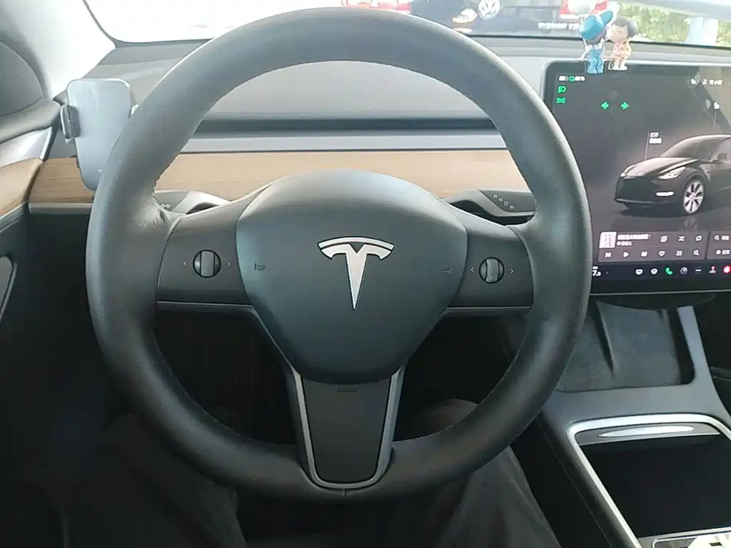 Tesla Model Y — миниатюра 11