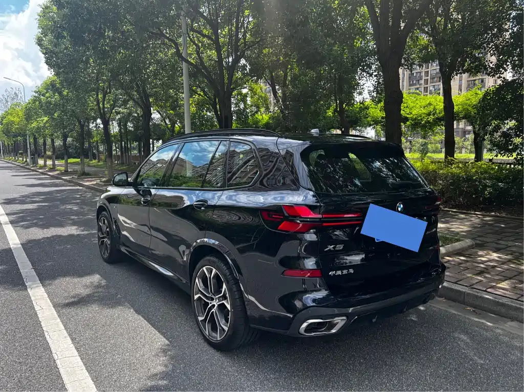 BMW X5 — миниатюра 6