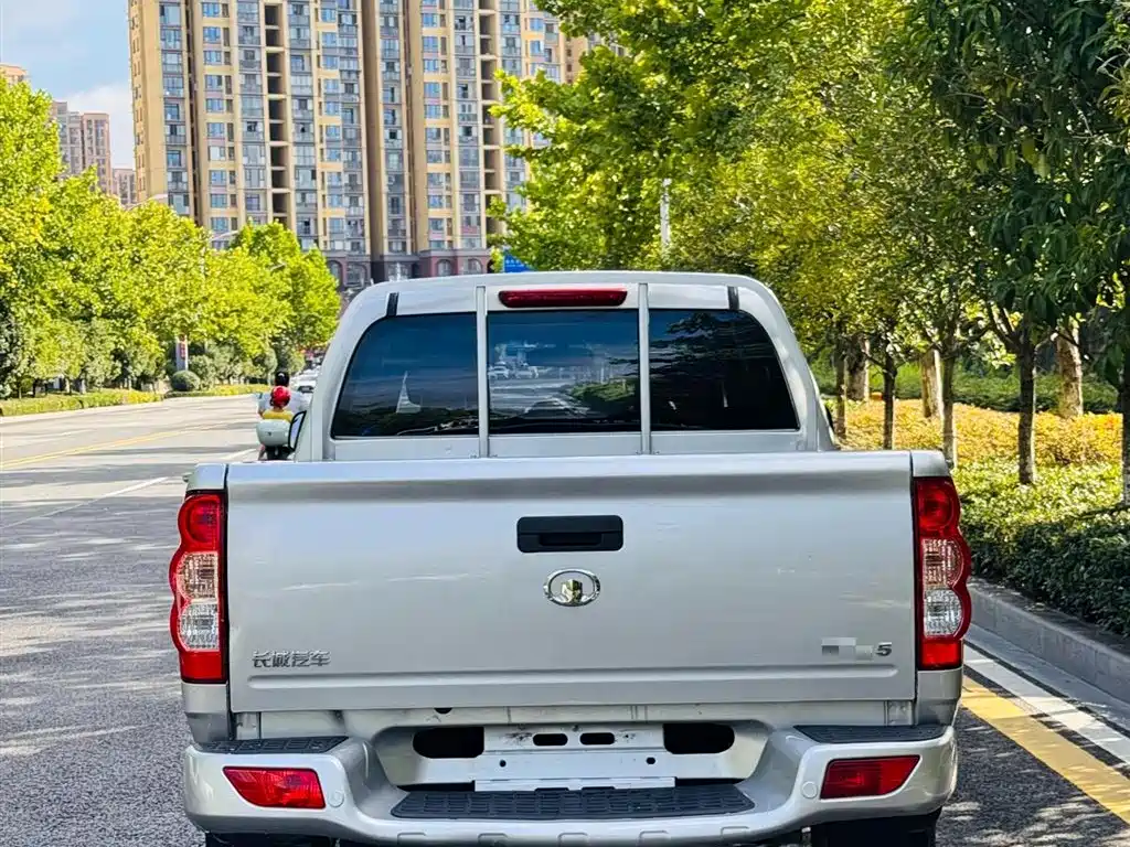 GREAT WALL FENGJUN 5