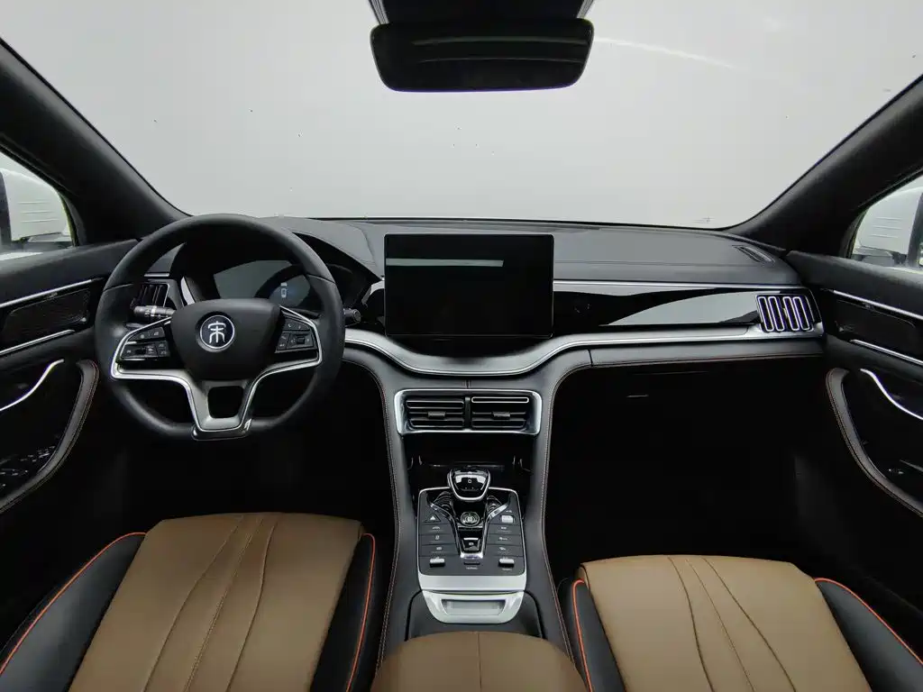 BYD PLUS — миниатюра 5