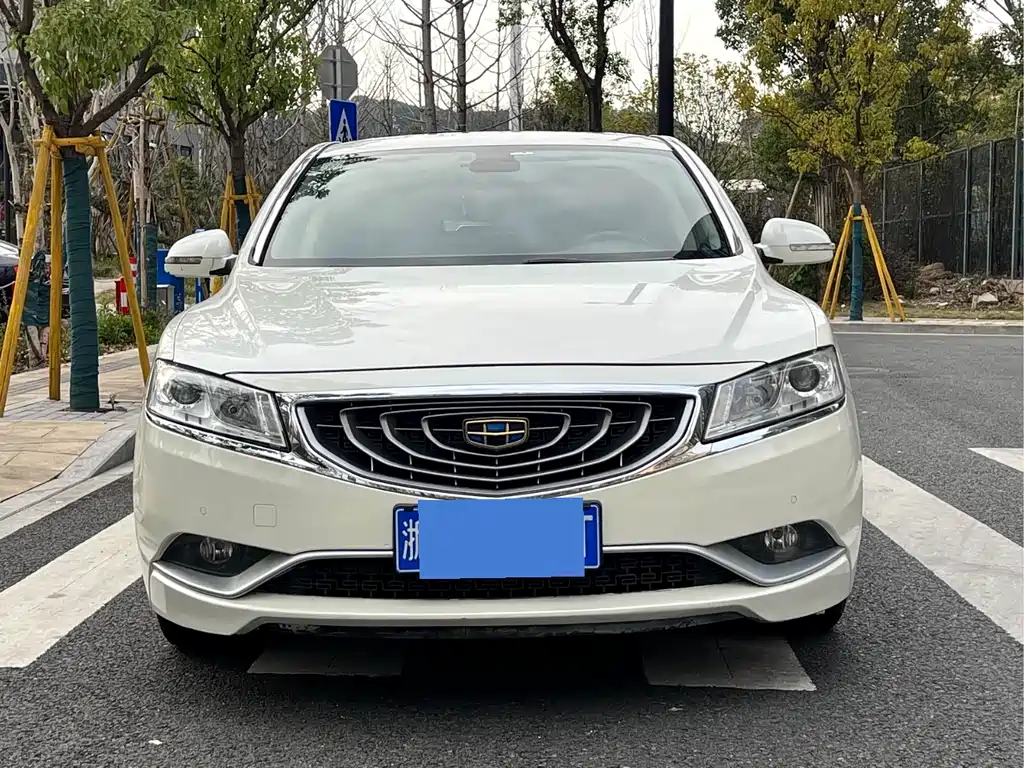 Geely Borui 2.4L Comfort Type, фото 2