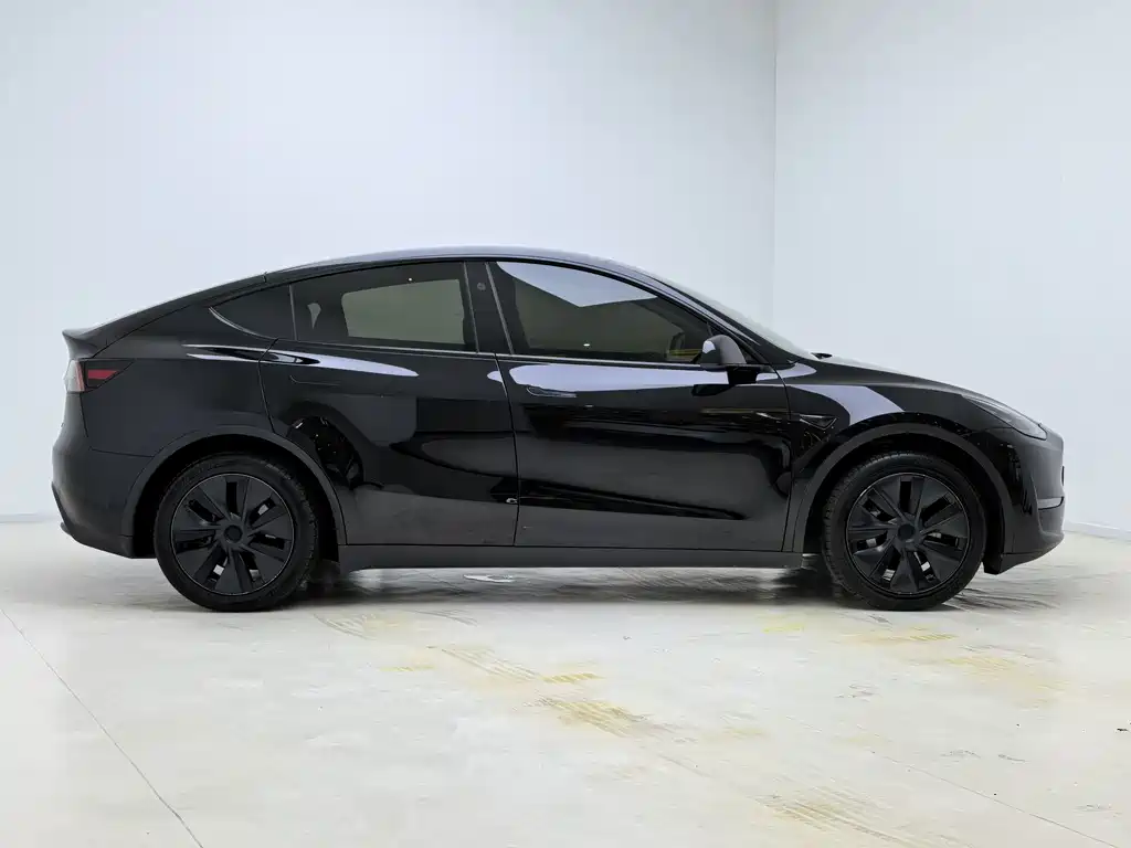 Tesla Model Y — миниатюра 4