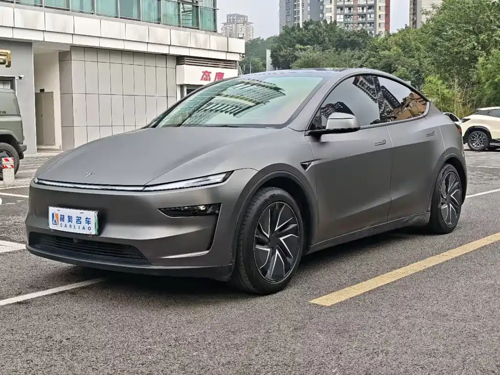 Tesla Model Y — миниатюра 5